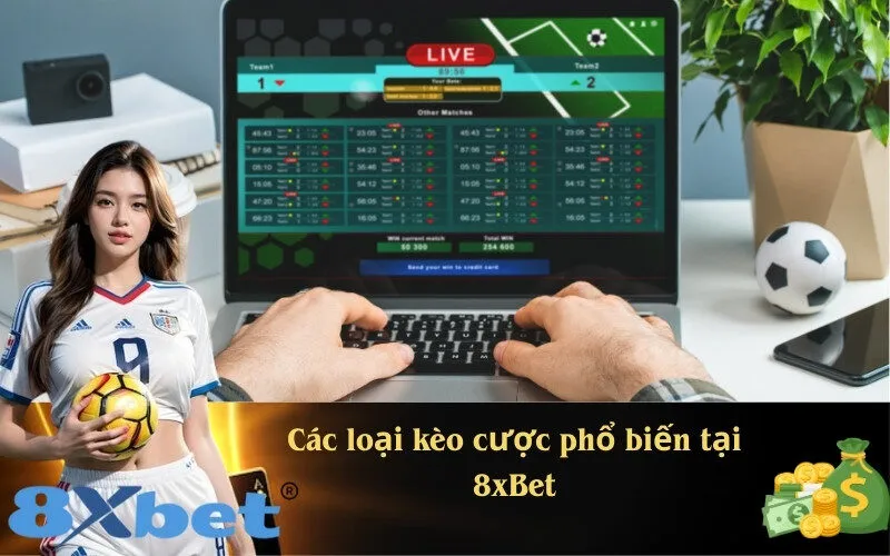 Các loại kèo cược phổ biến tại 8xBet
