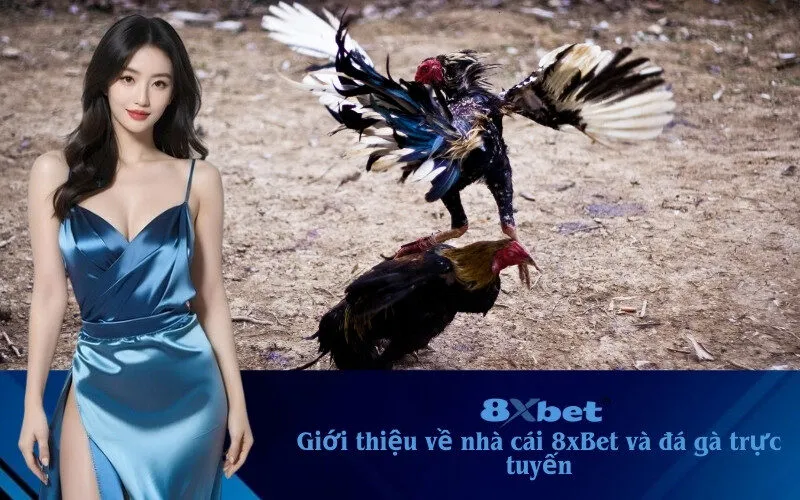 đá gà trực tuyến tại 8xbet