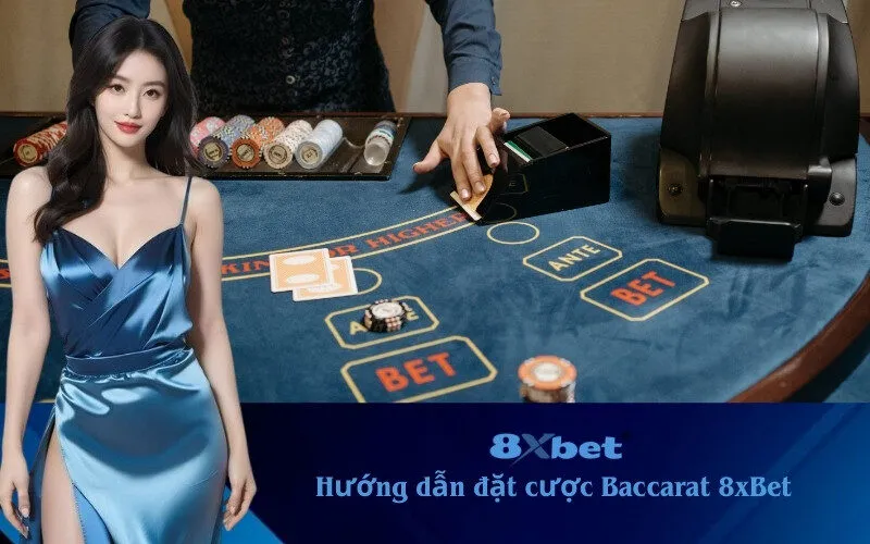 hướng dẫn đặt cược baccarat 8xbet