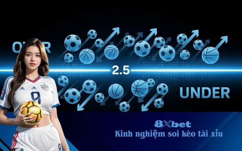 kinh nghiệm soi kèo tài sửu