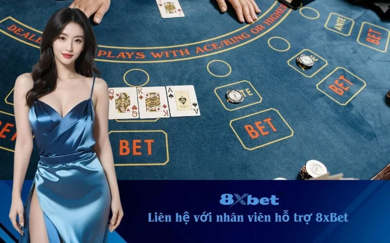 liên hệ với nhân viên hỗ trợ 8xBet